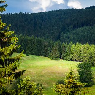 Pytloun Wellness Hotel Harrachov | Harrachov | Galeria zdjęć - 13