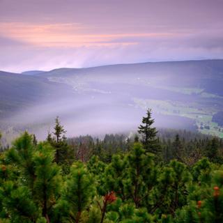 Pytloun Wellness Hotel Harrachov | Harrachov | Galeria zdjęć - 76