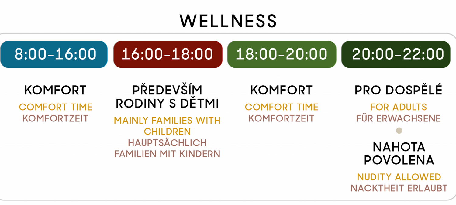 Pytloun Wellness Hotel Harrachov | Harrachov | 4